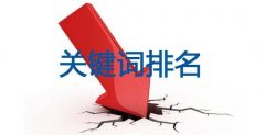 老司機(jī)告訴你網(wǎng)站排名突然下降你還能做什么
